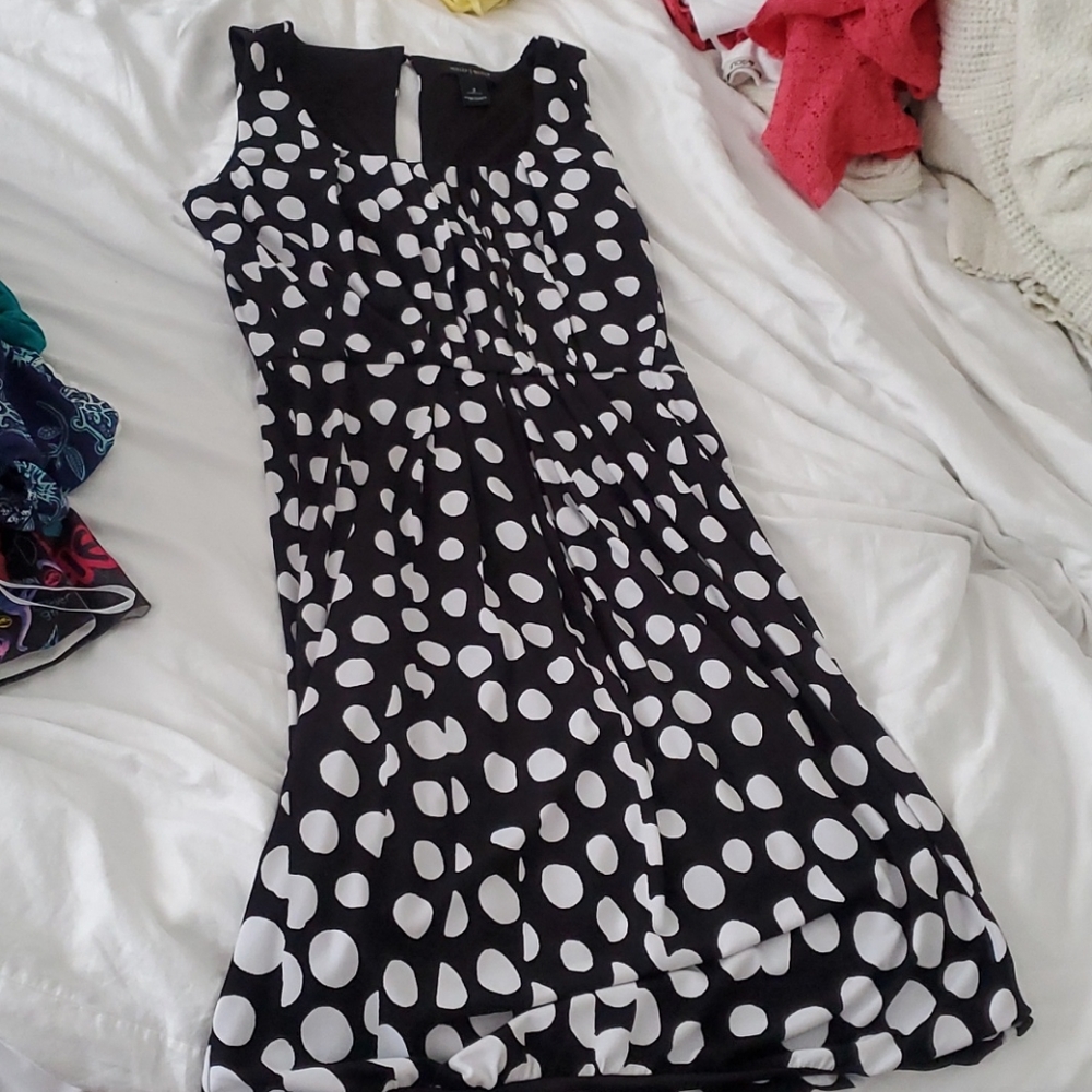 White house black market polka dot dress